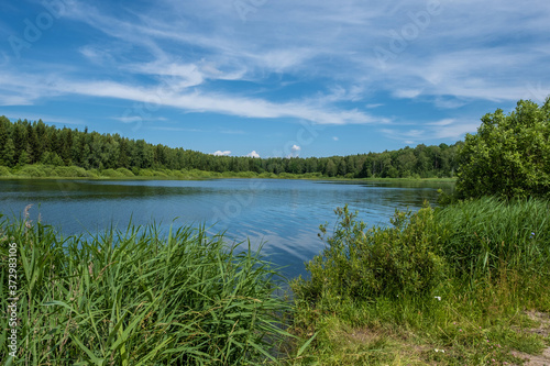 A small lake surrounded by forest on a sunny summer day. © Valery Smirnov