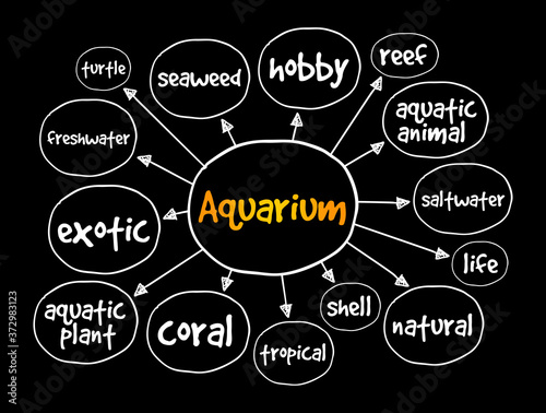 Aquarium mind map, concept for presentations and reports