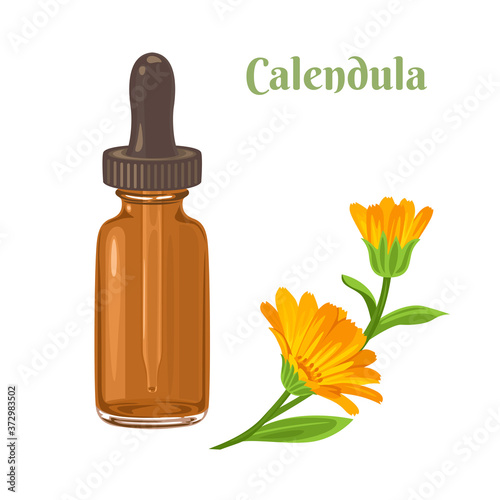 Calendula tincture in glass dropper bottle isolated on white background. Vector illustration in cartoon flat style. Plant marigold. Herbal medicine.