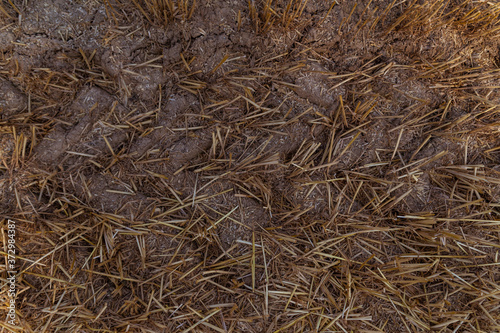 Photos wheat stubble on an agricultural field