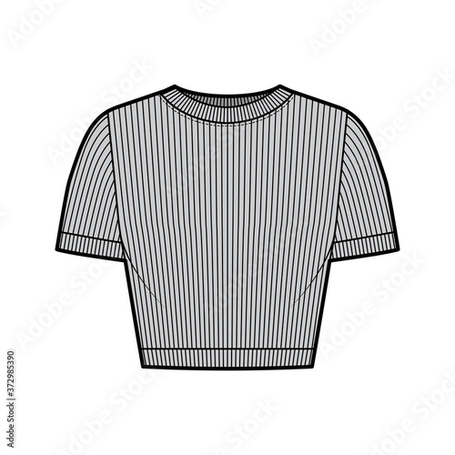 Ribbed cropped cotton-jersey t-shirt technical fashion illustration with scoop neck, short sleeves, close fit. Flat outwear sweater apparel template front grey color. Women men unisex knit top CAD