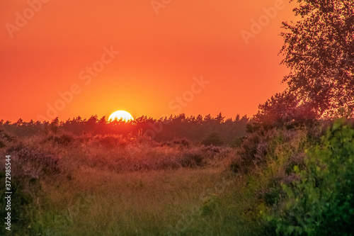 Lüneburger Heide 