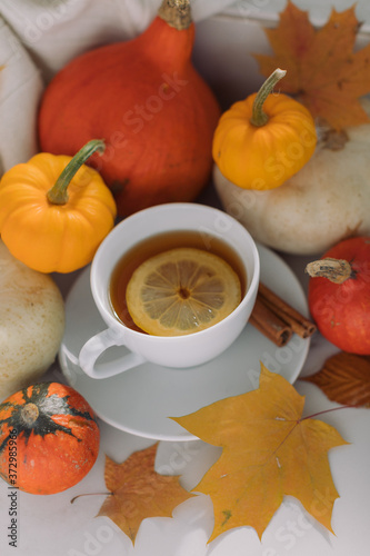 Still life autumn composition, cup of tea with lemon, pumpkins and yellow leaves. Fall colors, holiday home decoration concept.