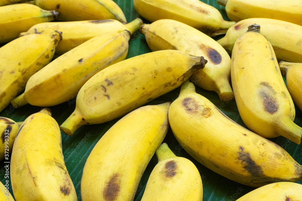 Flat lay layout of yellow bananas on a green banana leaf. Eco food