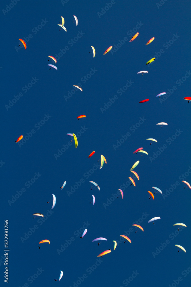 many paragliders flying together in beautiful sunny day many paragliders flying together in beautiful sunny day