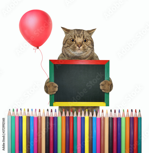 A big eyed cat with a red ballooon is holdig a blank blackboard near a fence. White background. Isolated. photo