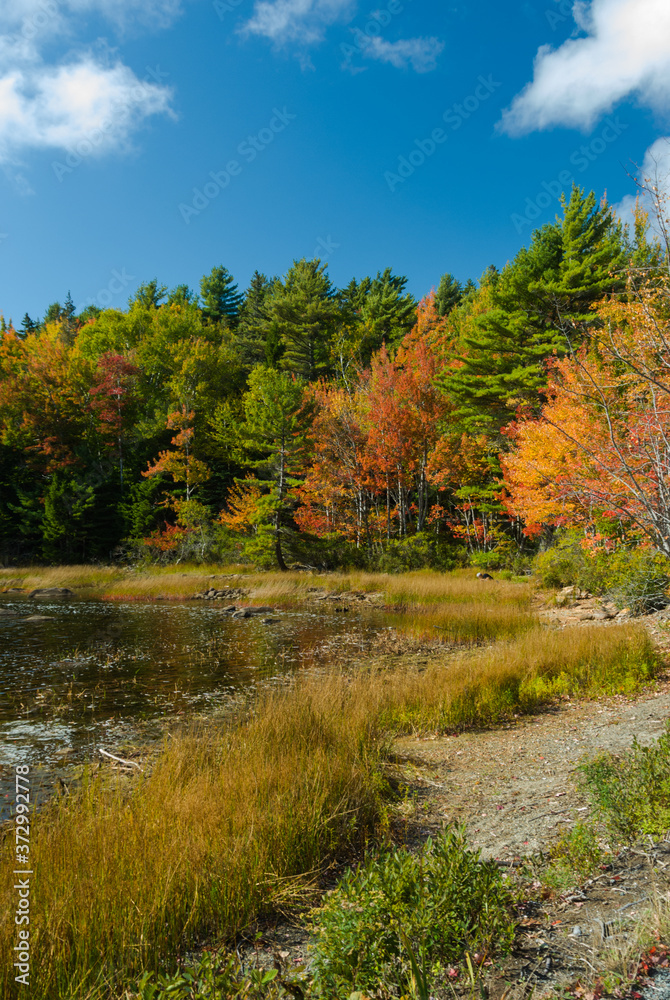 Eagle Lake, Acadia National Park, Maine