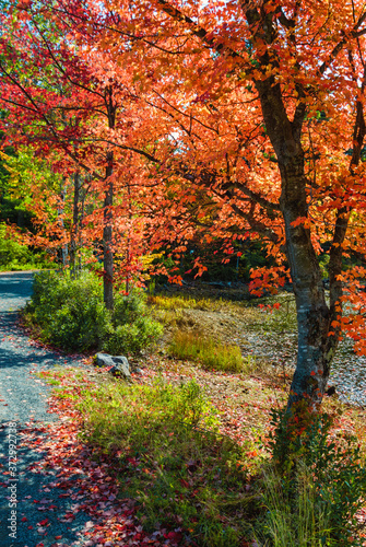 Eagle Lake  Acadia National Park  Maine