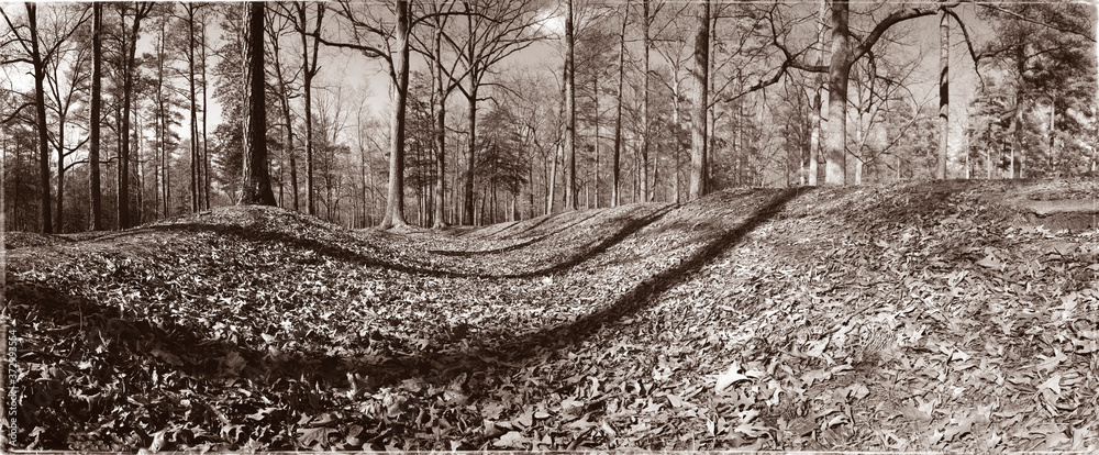 CS trench at Cold Harbor