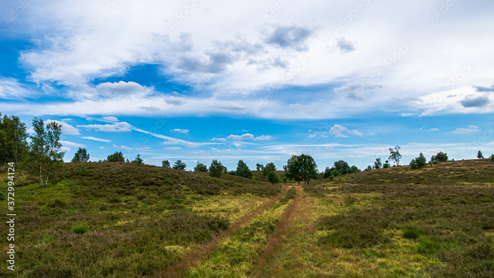 Heidschnuckenweg Lüneburger Heide Heidschnuckenweg Lüneburger Heide