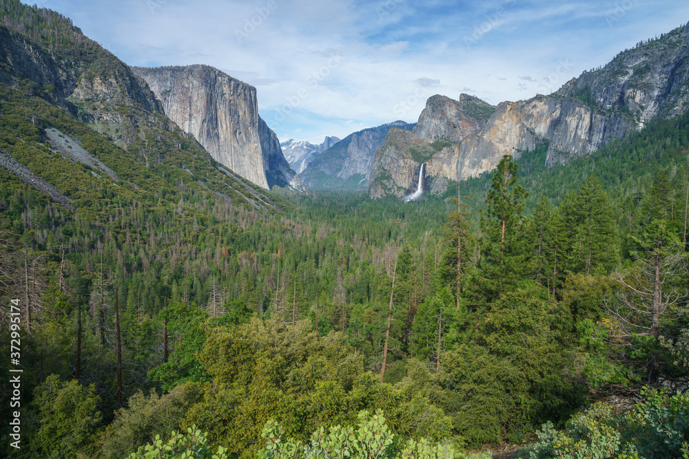Fototapeta premium tunnel view in yosemite nationalpark, california, usa
