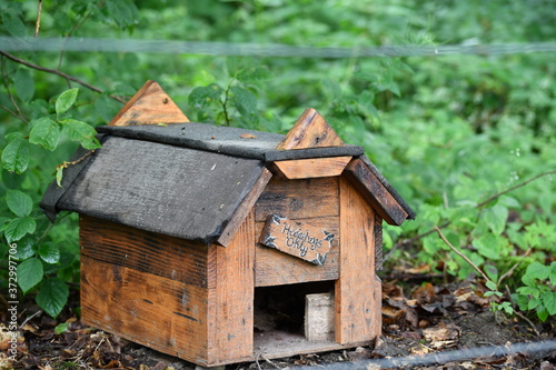 wooden small animals house in the forrest