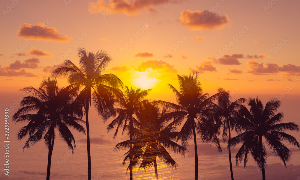 Beautiful tropical ocean sunset through palm trees. 