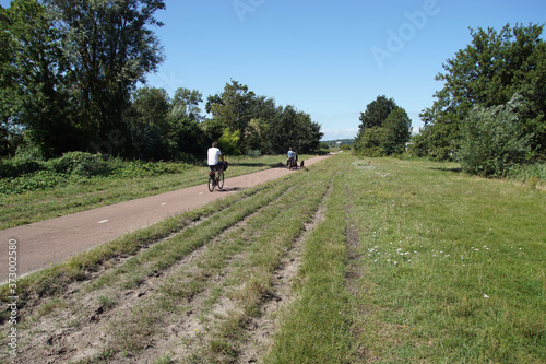 Dutch cycle path to the dunes and forest with cyclists and a dog. Wheel tracks on the roadside in the grass. Summer, August, Netherlands, near the village of Bergen © Thijs de Graaf