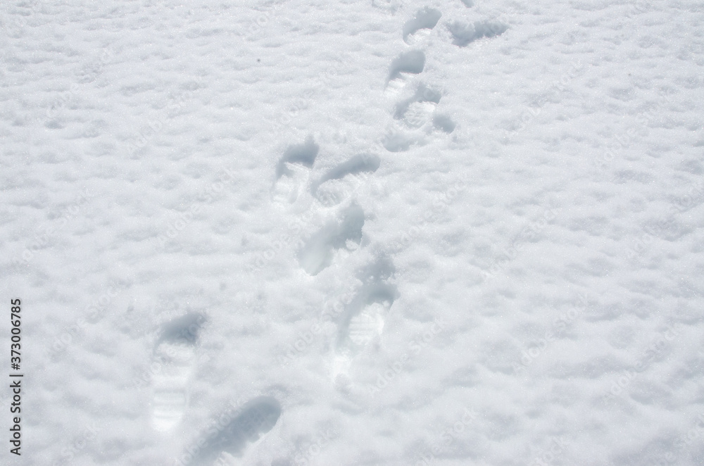 Fototapeta premium footprints in snow