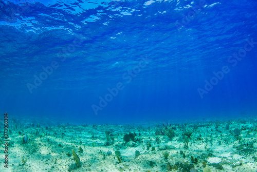 A shot from below the surface of the sea showing light penetrating through the water © drew