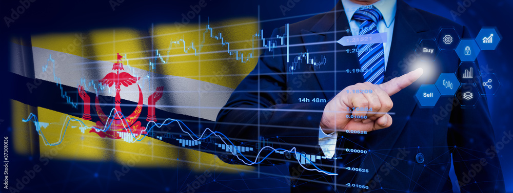 Fototapeta premium Businessman touching data analytics process system with KPI financial charts, dashboard of stock and marketing on virtual interface. With Brunei flag in background.