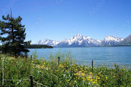 Yellowstone National Park