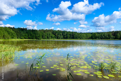 Fototapeta Naklejka Na Ścianę i Meble -  Beautiful summer day on masuria lake district in Poland.