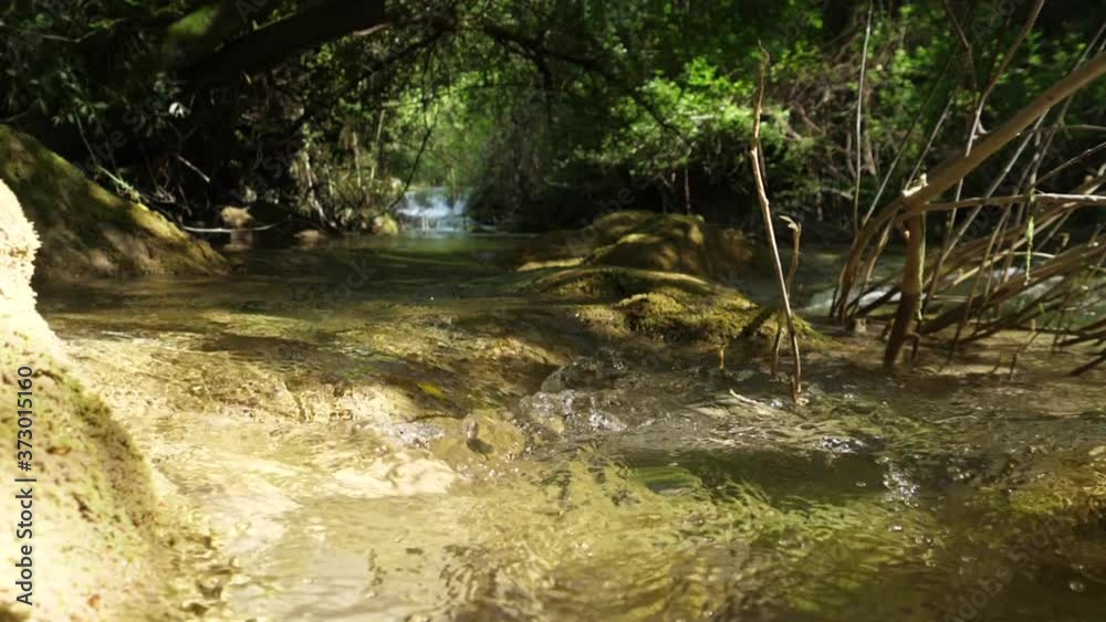 beautiful crystal water river stream in forest beautiful crystal water river stream in forest