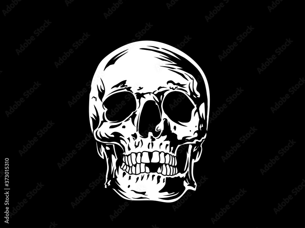 skull and crossbones vector