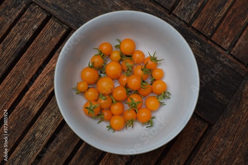 Home grown tomatoes picked in a bowl