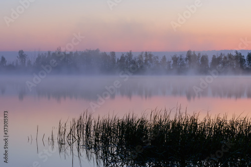 morning mist over the river