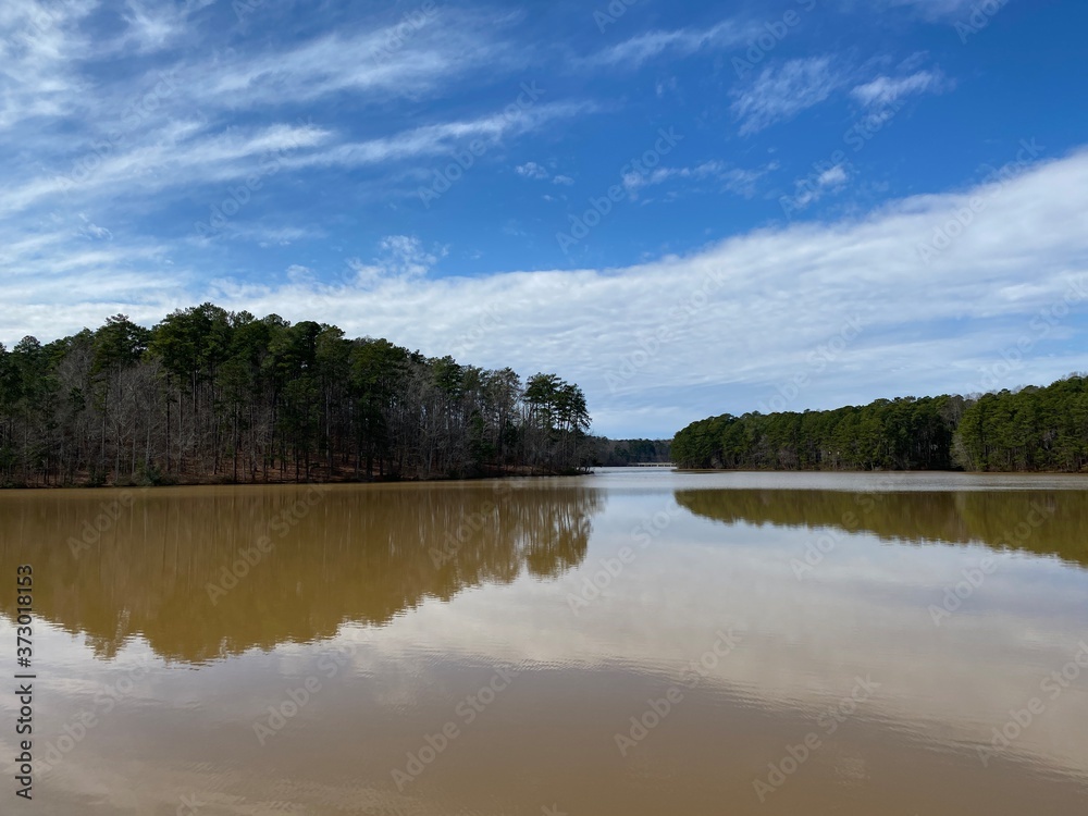 Forest Landscape Reflecting on Murky Lake Forest Landscape Reflecting on Murky Lake