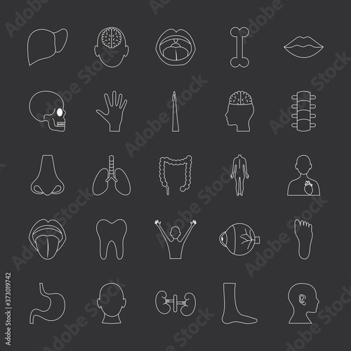 nose and human body parts icon set, line style