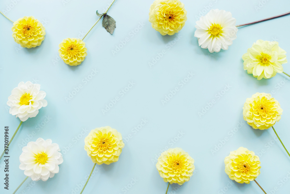 Yellow, white flowers dahlias on blue background. Flowers composition. Flat lay, top view, copy space. Summer, autumn concept.