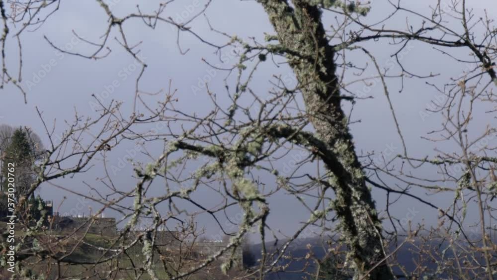 European medieval castle montalegre portugal