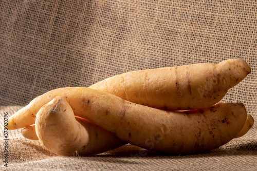 Potato baroa or Mandioquinha (Arracacia xanthorrhiza) on jute backgeound, photographed in studio in Brazil photo