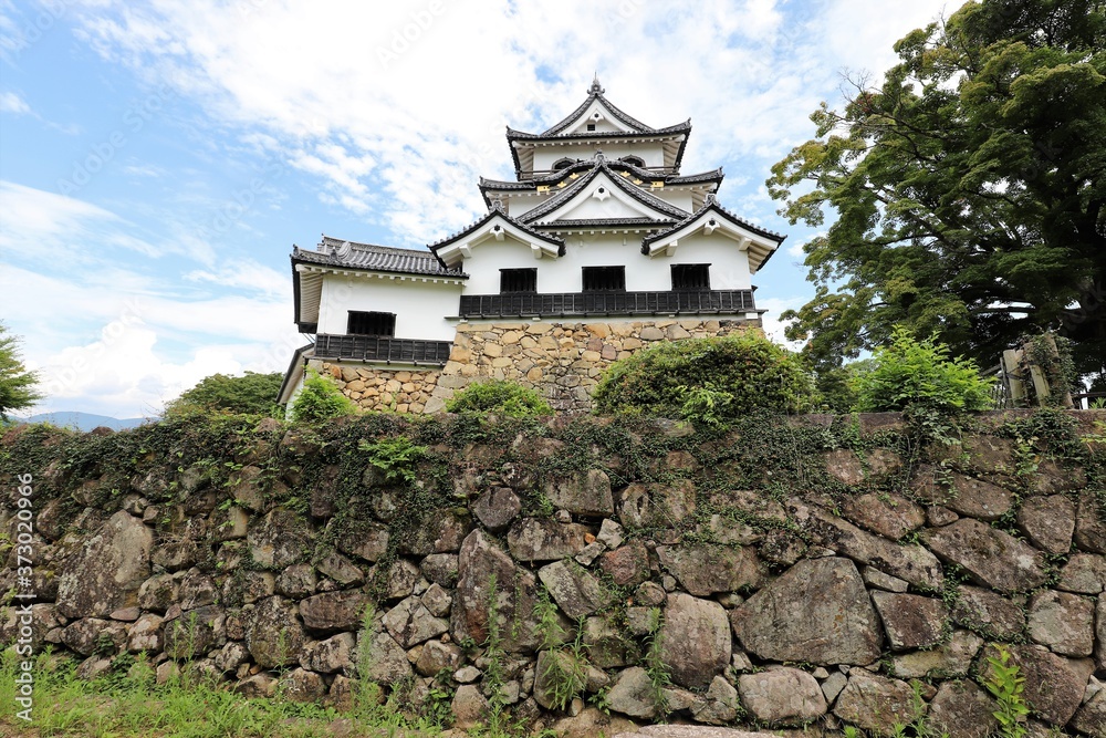 彦根城と玄宮園 彦根城と玄宮園