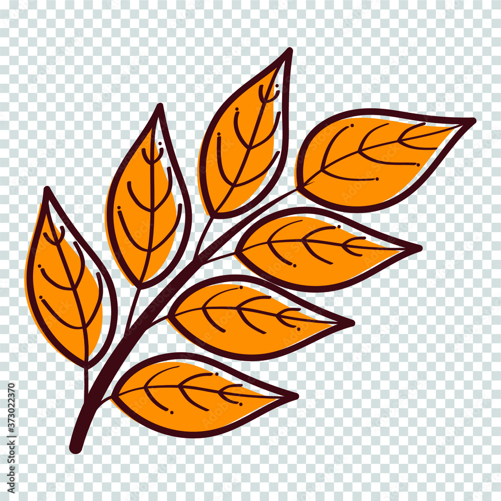 set leaf autumn element vector icon leave illustration