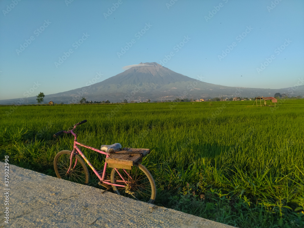 bicycle on the road with rice field and mountain bakcground. bicycle on the road with rice field and mountain bakcground.