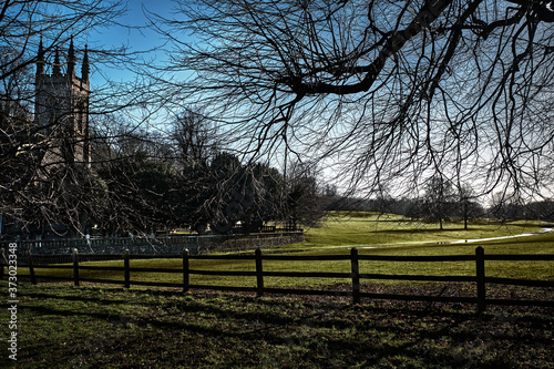 Church Covered By Trees, Fence Infront, Surrounded By Grass photo