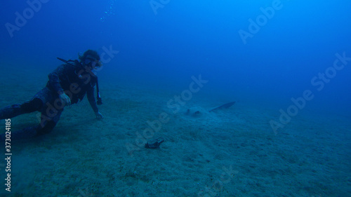 scuba diver on blue background