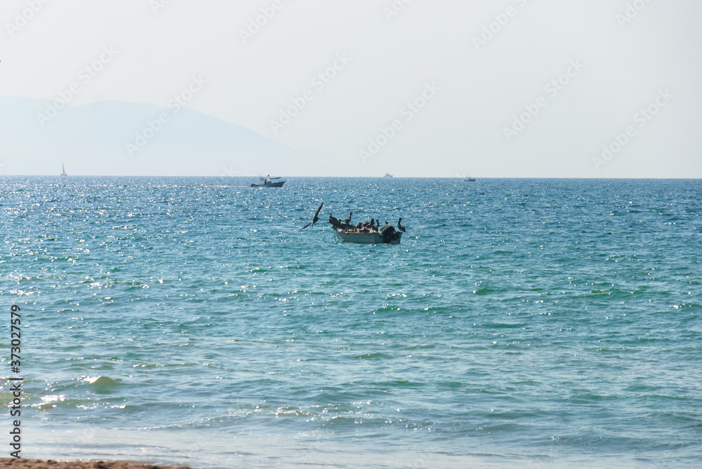 Hermosa vista en Puerto vallarta, bote con pelícanos en medio del mar.