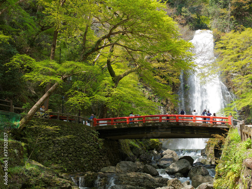 大阪府箕面公園 滝見橋と箕面大滝