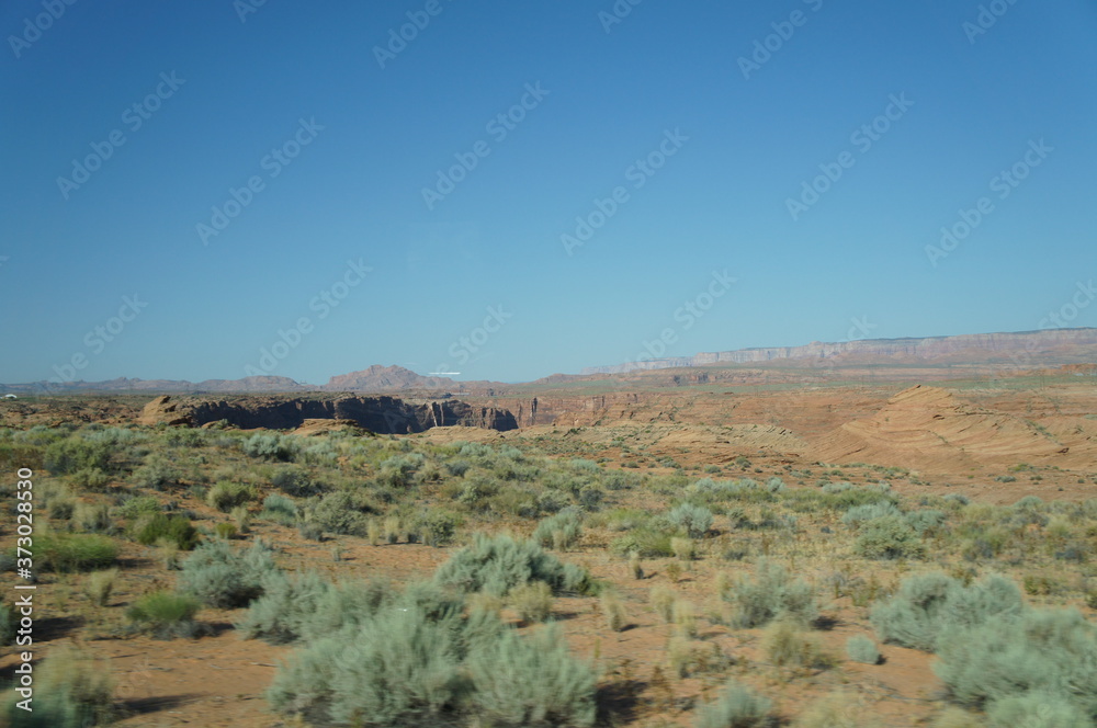 Arizona Arizona