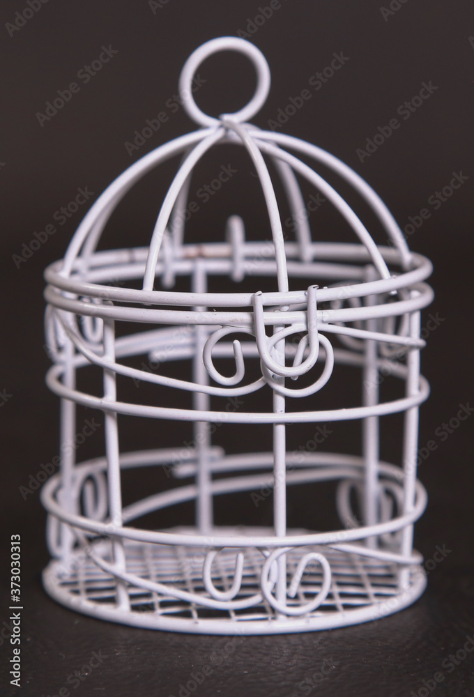 globe in a cage