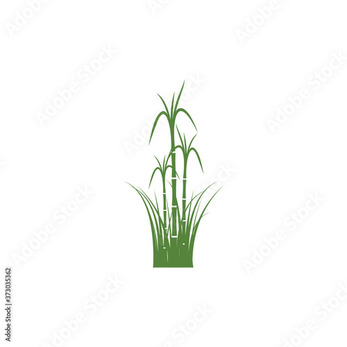 Sugar cane Logo Template vector symbol