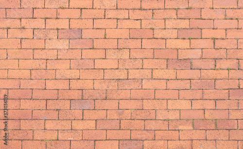 Panoramic background of wide red orange brick tile floor with grass in the furrow texture. suitable for home decoration or office design backdrop.