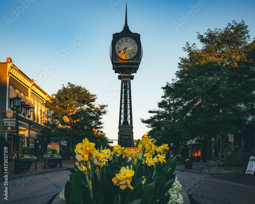 Clock Downtown Northville, MI photo