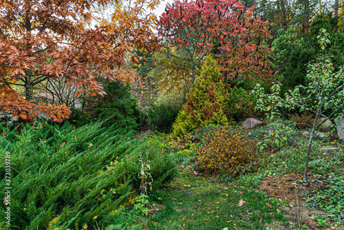 autumn garden with nice trees