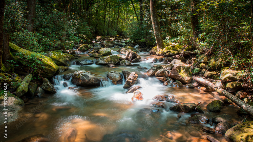 Mountain river. Fast water stream. Beautiful forest landscape. Mountain river. Fast water stream. Beautiful forest landscape.