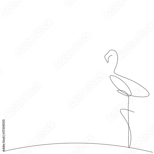 Flamingo line drawing on white background. Vector illustration