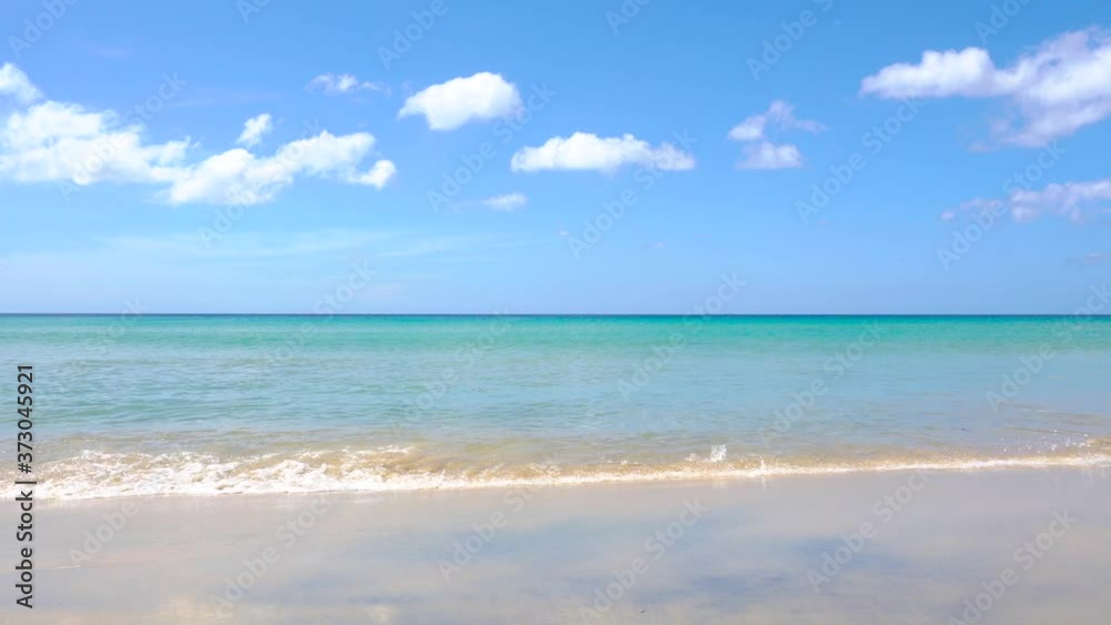 beach with trees beach with trees