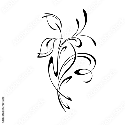 ornament 1274. stylized twig with leaves and vignettes in black lines on a white background