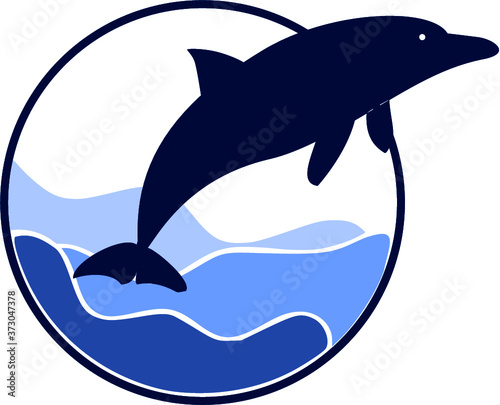 vector illustration of a dolphin